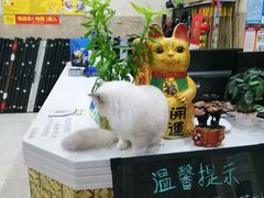 -港龙棋牌桌球城(上沙店)