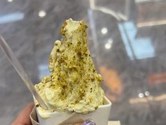 -野人先生现做冰淇淋(西安赛格店)
