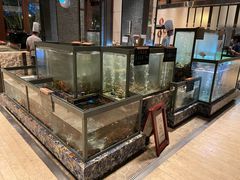 -瑰丽酒店·海吧·天际下午茶·现场DJ·天台酒吧