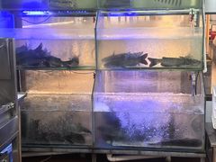 -鱼酷活鱼烤鱼(南京水游城店)