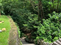 -火炉山森林公园
