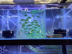 -宠物世家(仲盛世界商城店)