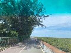 -北海金海湾红树林生态旅游区
