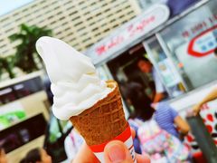 -富豪雪糕车流动点(尖沙咀店)