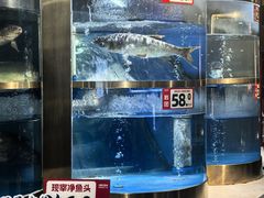 -蜀滋香鲜鱼美蛙火锅(339店)