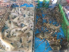 -清水湾3号(东方小周海鲜店)