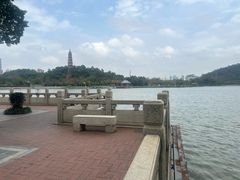 -顺峰山公园
