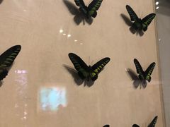 -陕西自然博物馆