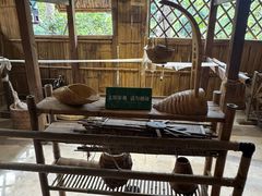 -西双版纳原始森林公园