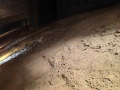 -世界恐龙谷景区