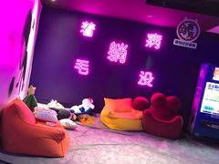 -VS SPORTS PARK运动玩乐园·团建·生日会(合生汇店)