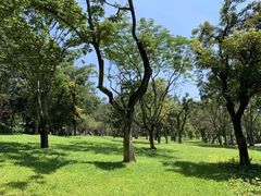 -荔枝公园-小平画像广场