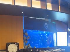 -炉角·鲍鱼牛腩煲(国贸商城店)