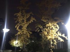 -首开·常青藤二期