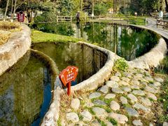 -成都市活水公园