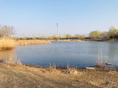 -永定河休闲森林公园