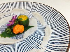 河鱼刺身-肆月河豚·新淮扬(金融街店)