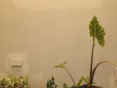 -禾气食店