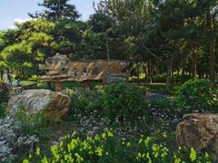 -长春公园(普阳街道)