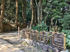 -广州市帽峰山景区