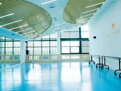 -西安小天鹅艺术团(曲江Alice店)