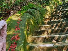 -大金鹰园