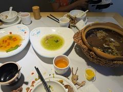 -鸽小宝(深圳首店)