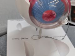 -武汉大学附属爱尔眼科医院(湖北总院)