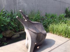 iphone_upload_pic-中国湿地博物馆