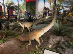 -湖南省地质博物馆