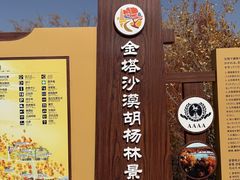 -金塔沙漠胡杨林景区