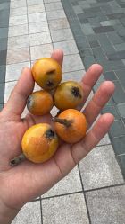 -奈尔宝·儿童乐园·亲子餐厅(前滩店)