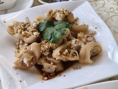 -百利鸽王(紫薇路店)