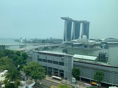 -新加坡文华东方酒店