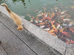 -檀园