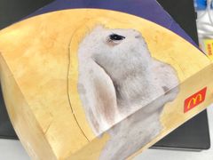 -麦当劳(皇岗路店)