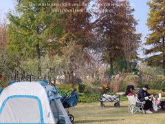 -上海长兴岛郊野公园