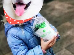 -爱达乐面包生日蛋糕(资阳圣高商业广场店)