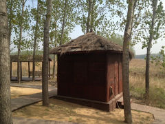 iphone_upload_pic-微山湖红荷湿地景区