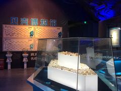 -贝壳梦幻世界