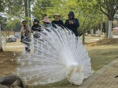 -鄱阳湖国家湿地公园