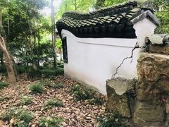 -汇龙潭
