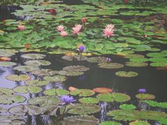 -国家植物园南园