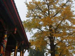 -金堂县云顶石城风景区