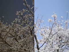-龙美术馆(西岸馆)