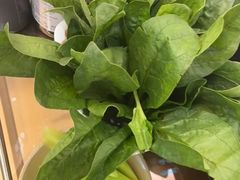 -鸿姐老火锅(疁城新天地店)