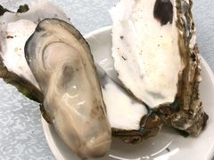 蒜蓉烤生蚝-天宝食坊·啫啫煲大排档(西华路店)