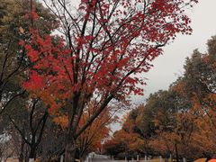 -石湖景区