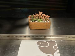 -WHEN PIGS FLY当猪飞