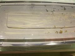 -老东北大铁锅·烧烤·东北菜